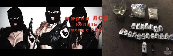 ГАЛЛЮЦИНОГЕННЫЕ ГРИБЫ Абаза