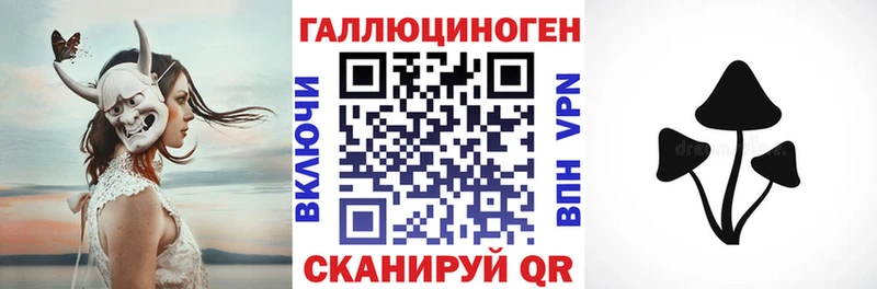 Галлюциногенные грибы Cubensis  как найти   блэк спрут вход  Вичуга 